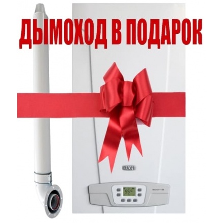 Газовый котел Baxi ECO 4S 10F